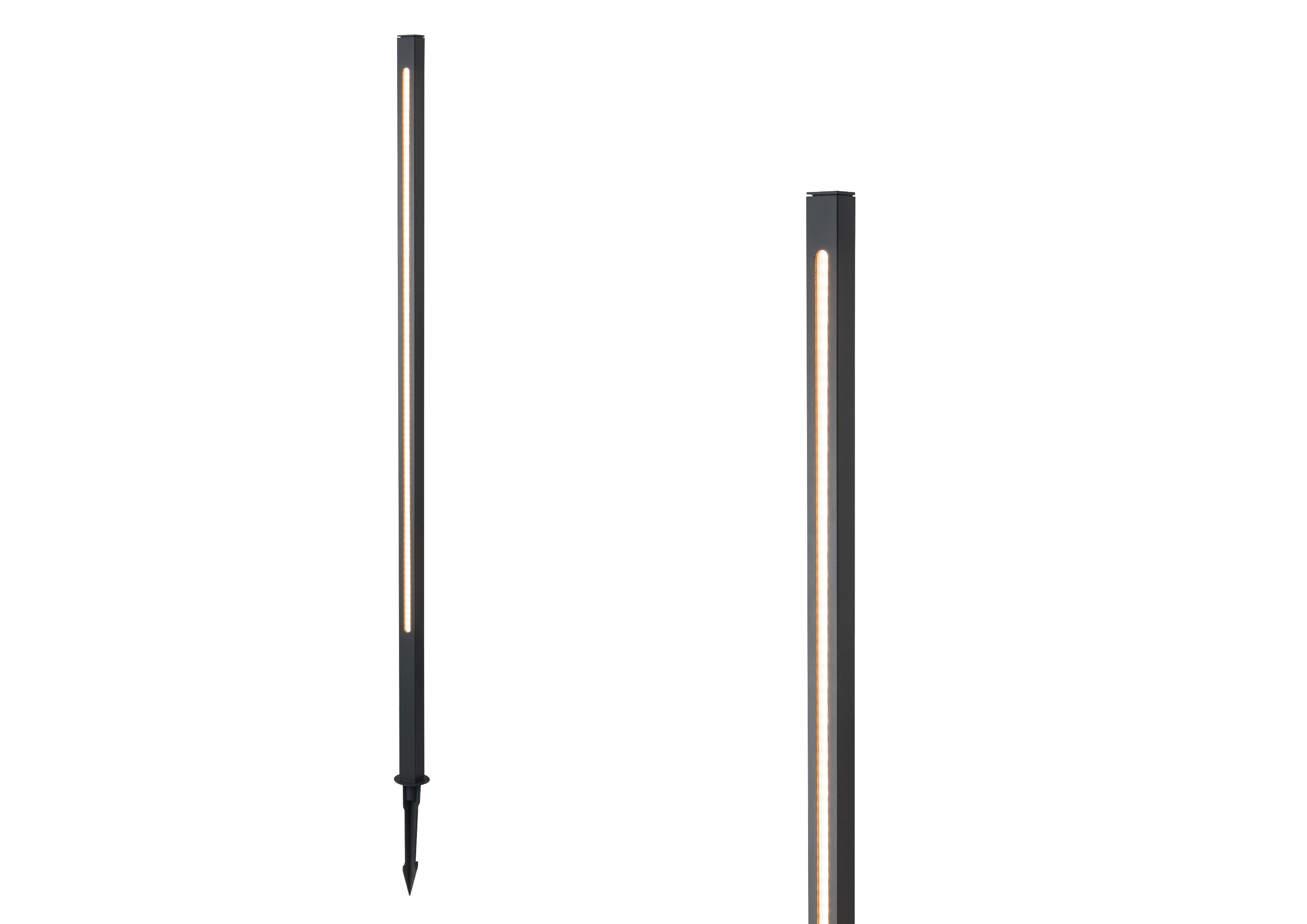 Pole Long